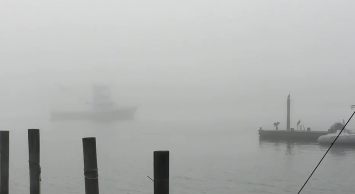 An image of pilings, a boat, and cormorants in the fog 